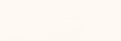PS810 WHITE SATIN