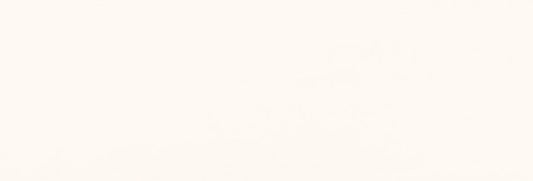 PS810 WHITE SATIN